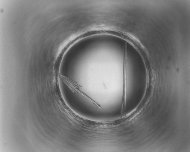 X0000055521167200508262158