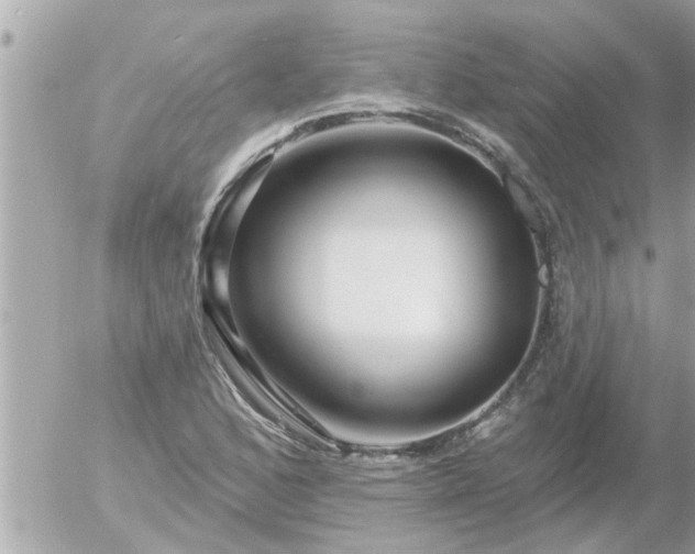 X0000055521168200508262158