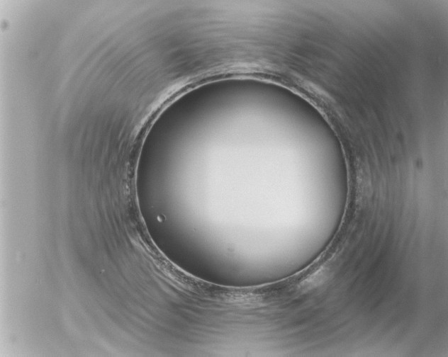 X0000055521170200508262158