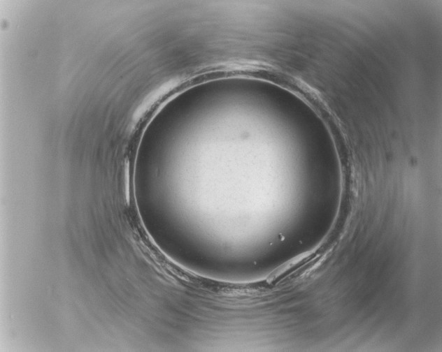 X0000055521171200508262158