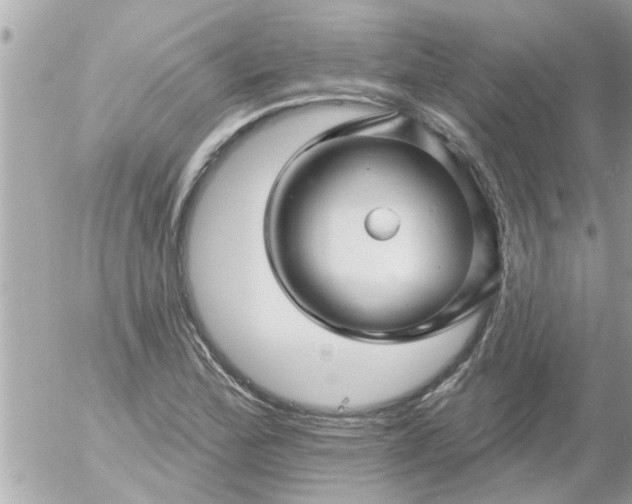 X0000055521172200508262158