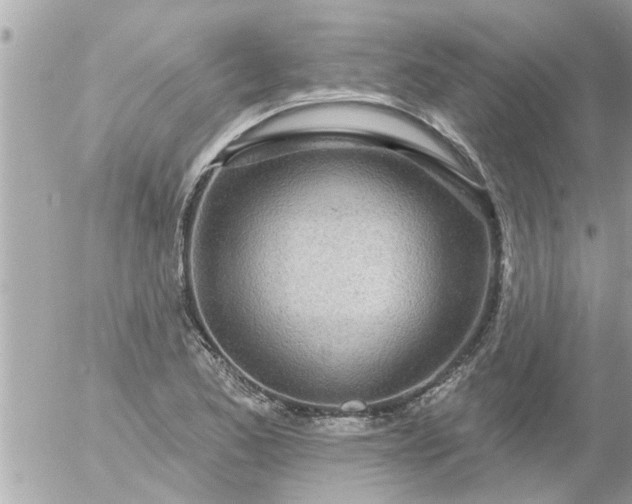 X0000055521173200508262158