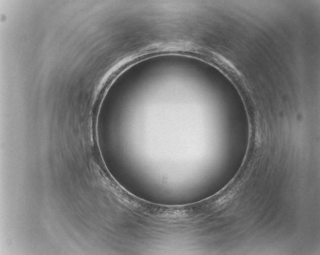 X0000055521174200508262158