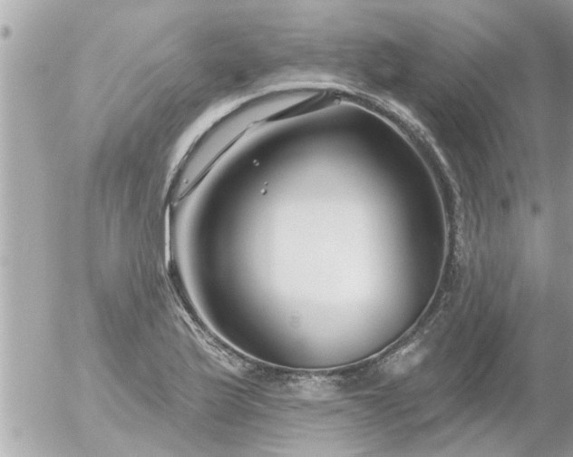 X0000055521175200508262158