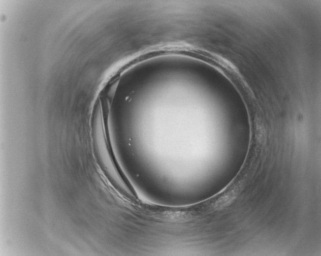 X0000055521176200508262158