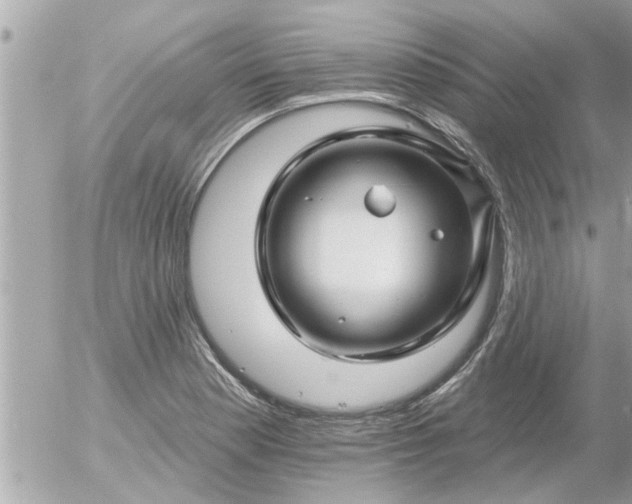 X0000055521177200508262158