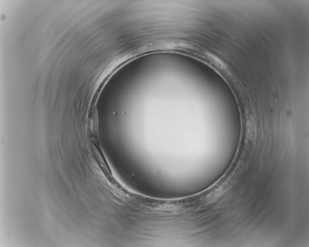 X0000055521178200508262158