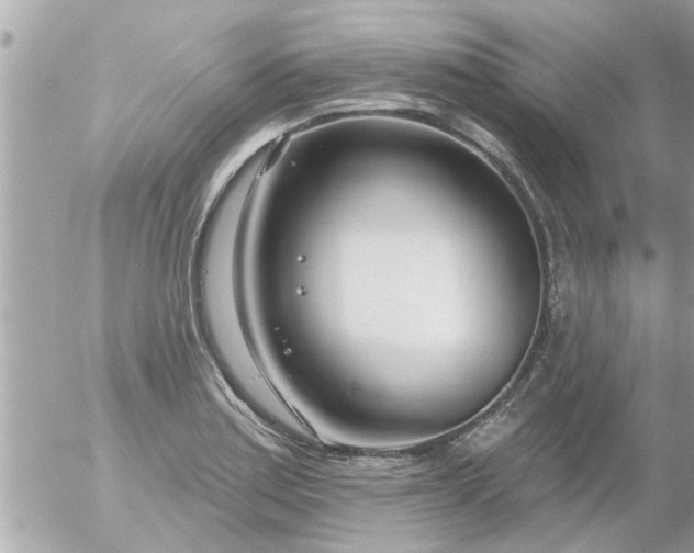 X0000055521179200508262158