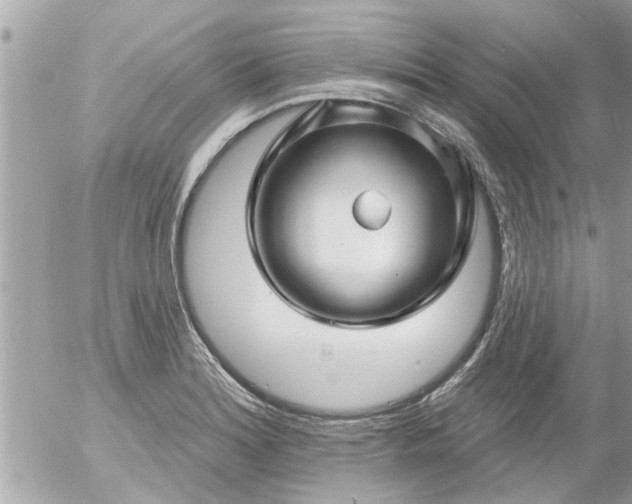 X0000055521180200508262158