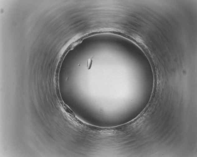 X0000055521181200508262158