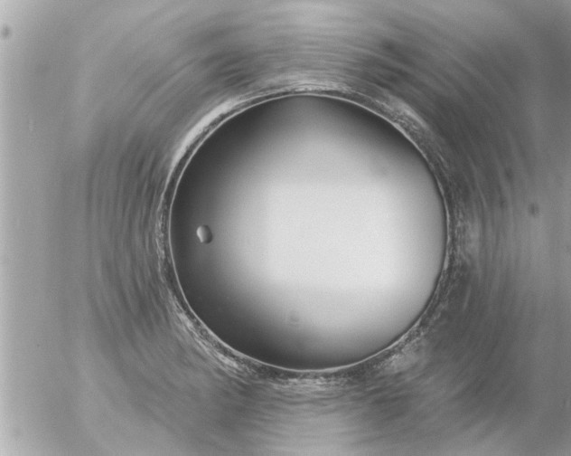 X0000055521182200508262158