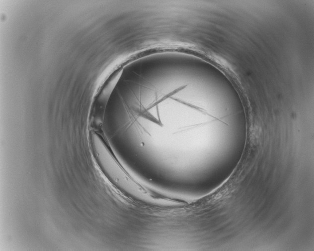 X0000055521183200508262158