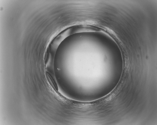 X0000055521184200508262158