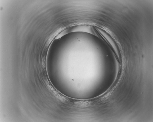 X0000055521185200508262158