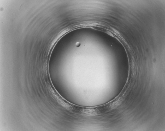 X0000055521186200508262158