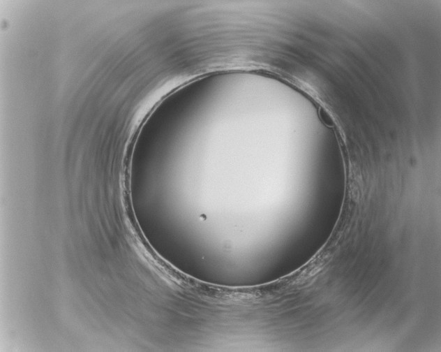 X0000055521187200508262158