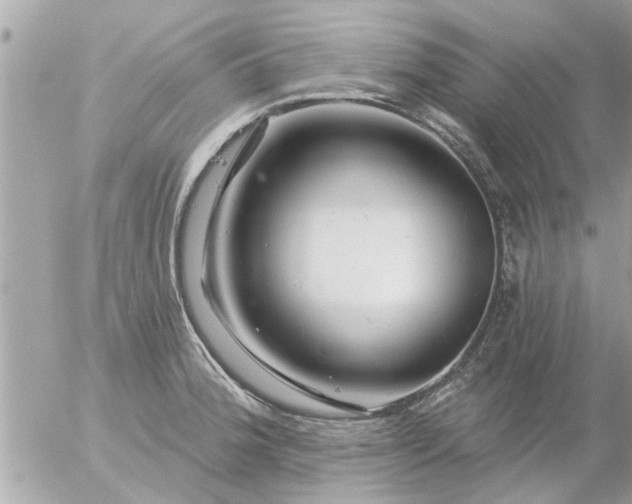 X0000055521188200508262158