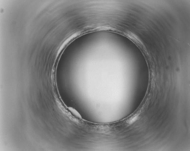 X0000055521190200508262158