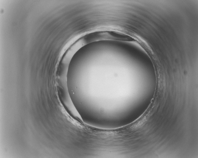 X0000055521192200508262158