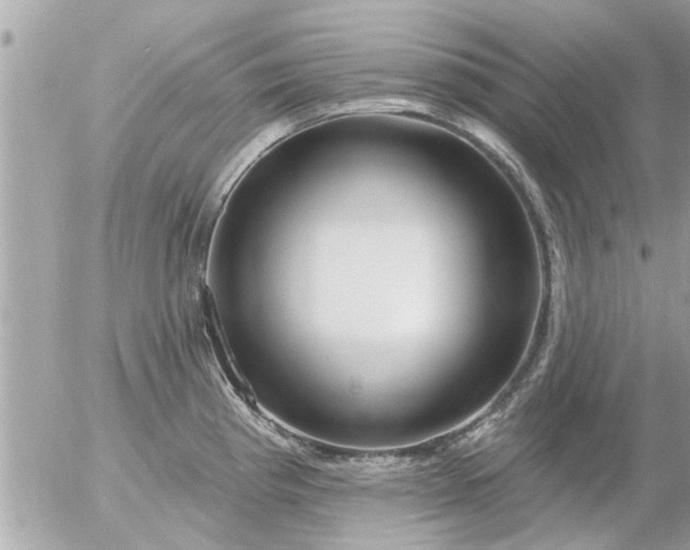 X0000055521193200508262158