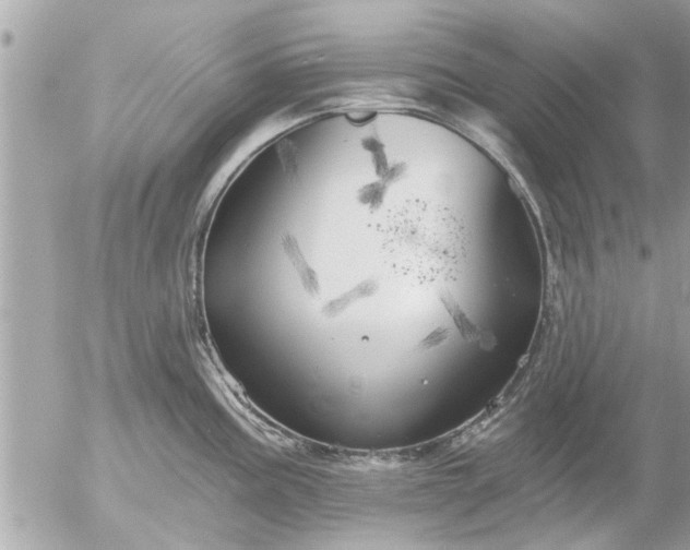 X0000055521195200508262158