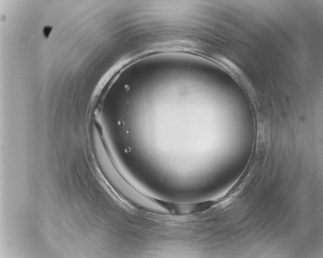 X0000055521196200508262157