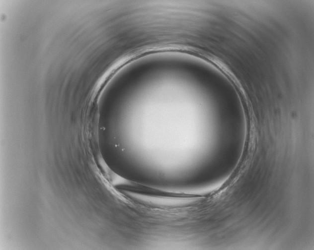 X0000055521197200508262157