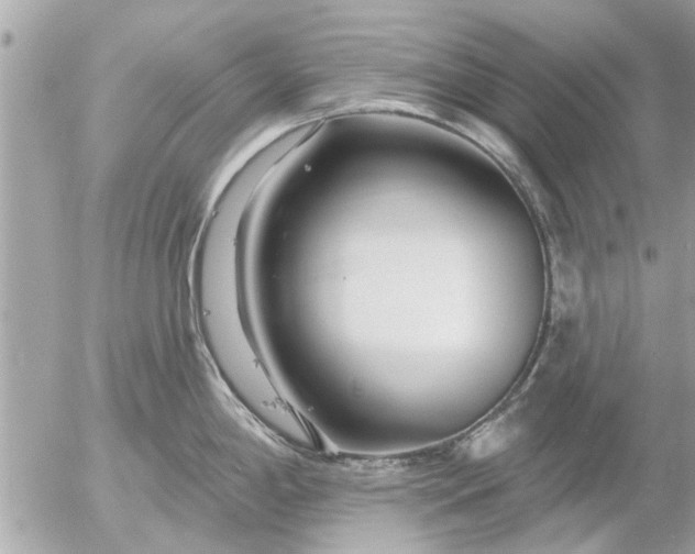 X0000055521198200508262157