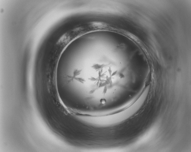 X0000055521199200508262157