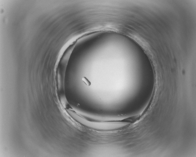 X0000055521200200508262157