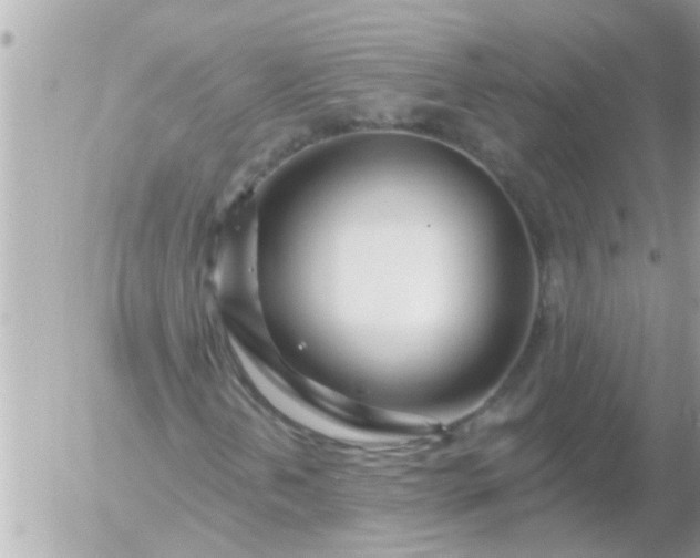 X0000055521202200508262157