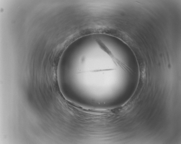 X0000055521204200508262157