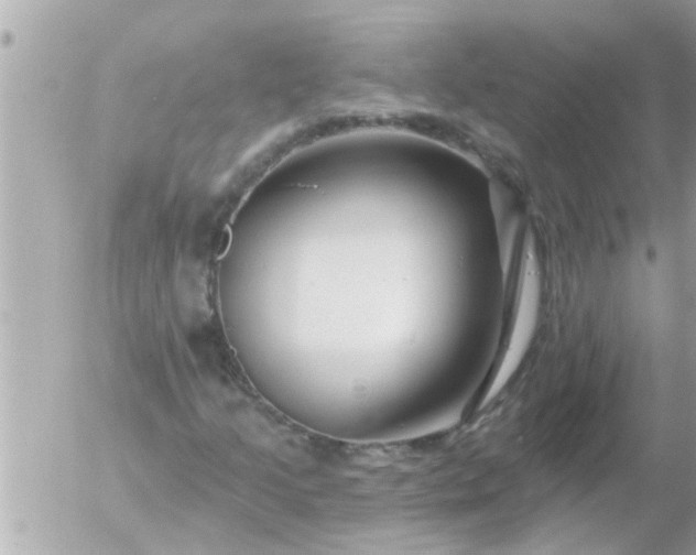 X0000055521205200508262157