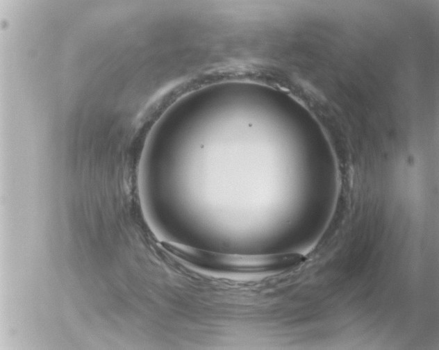 X0000055521206200508262157