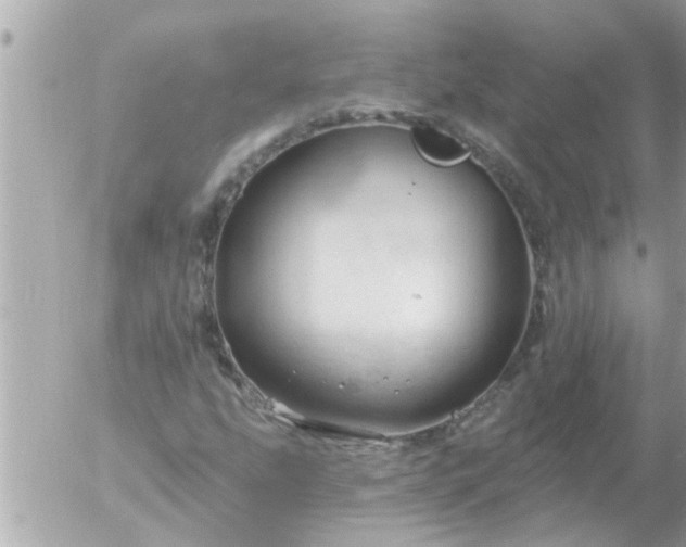 X0000055521207200508262157