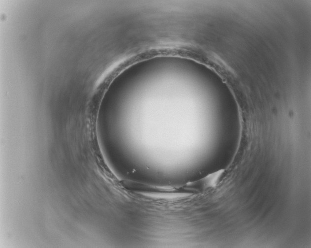 X0000055521208200508262157