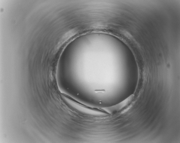 X0000055521209200508262157