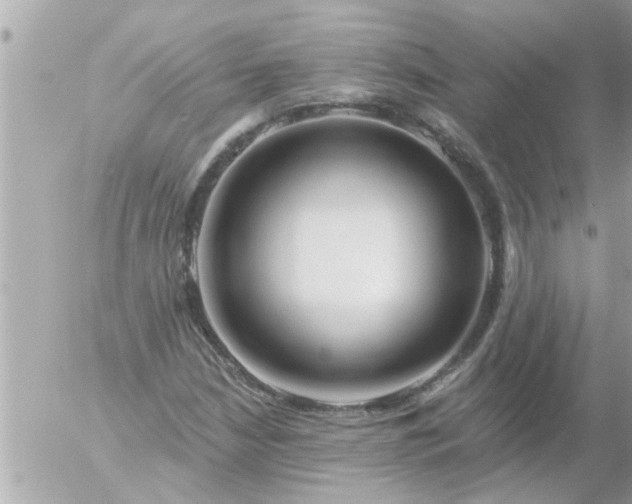 X0000055521210200508262157