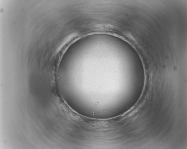 X0000055521211200508262157