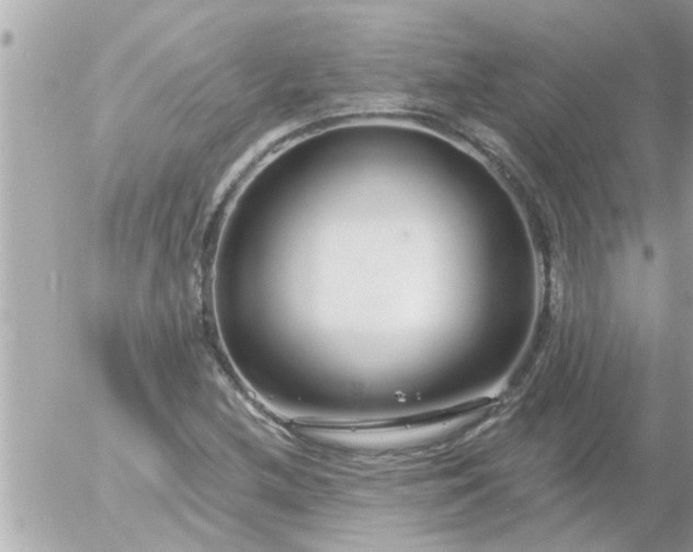 X0000055521212200508262157