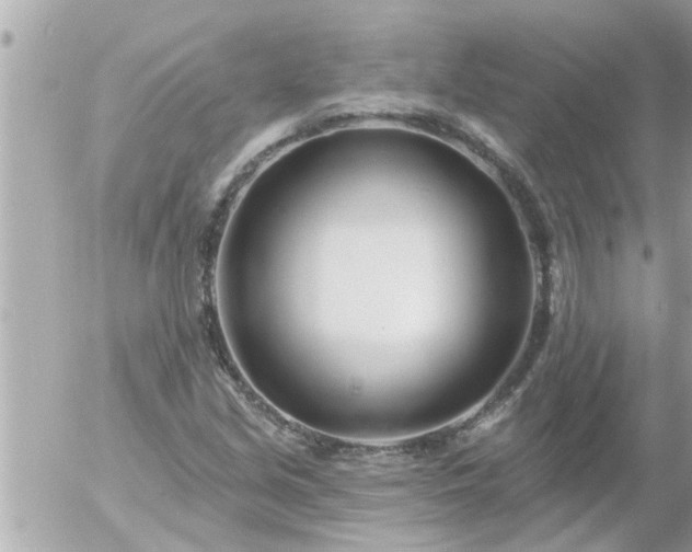 X0000055521213200508262157