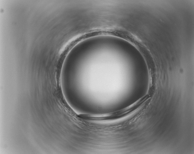 X0000055521214200508262157