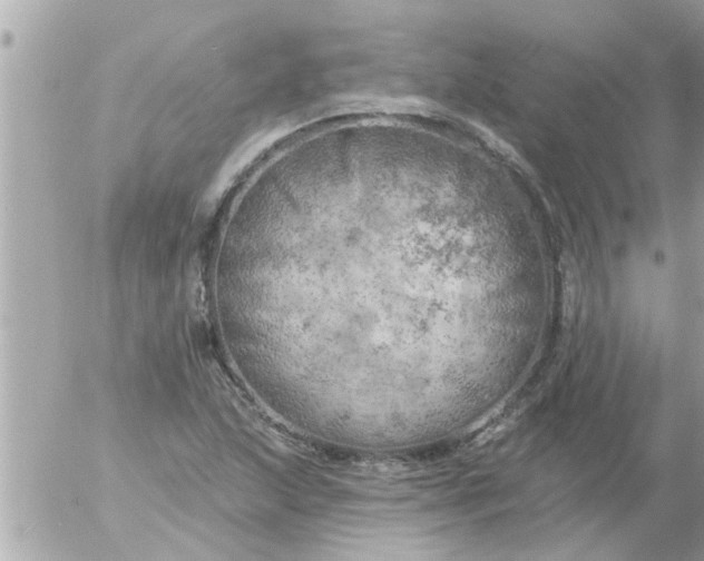 X0000055521215200508262157