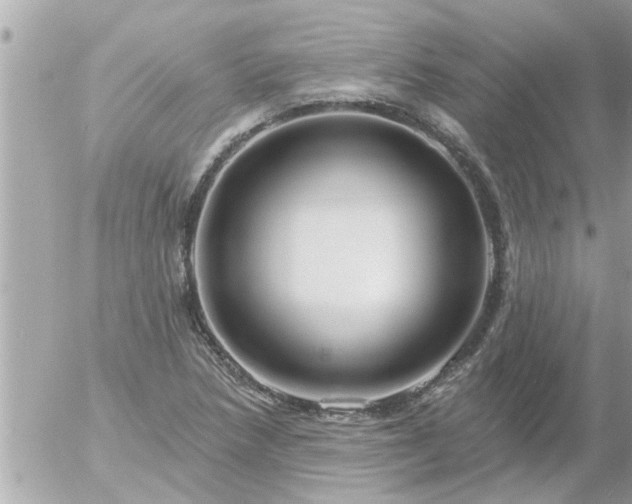 X0000055521218200508262157