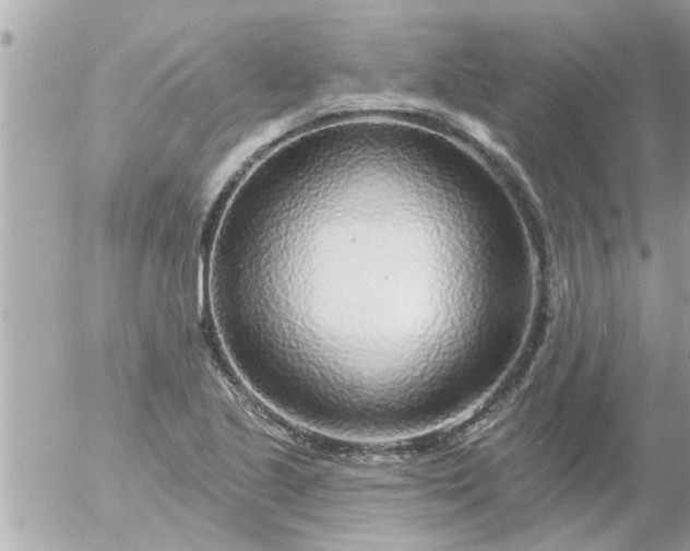 X0000055521221200508262157