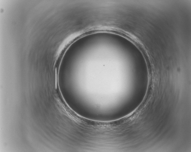 X0000055521223200508262157