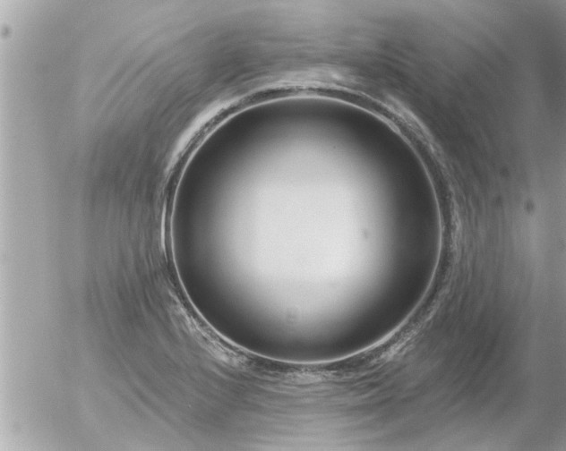 X0000055521224200508262157