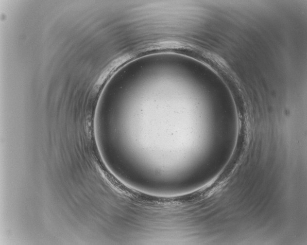 X0000055521225200508262157