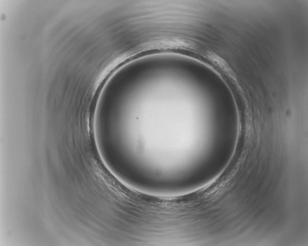 X0000055521226200508262157