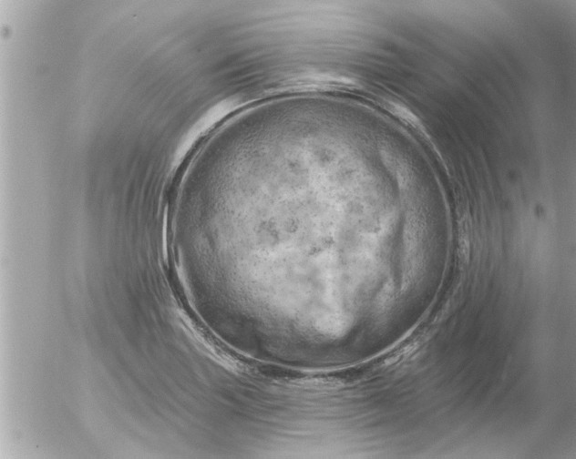 X0000055521227200508262157